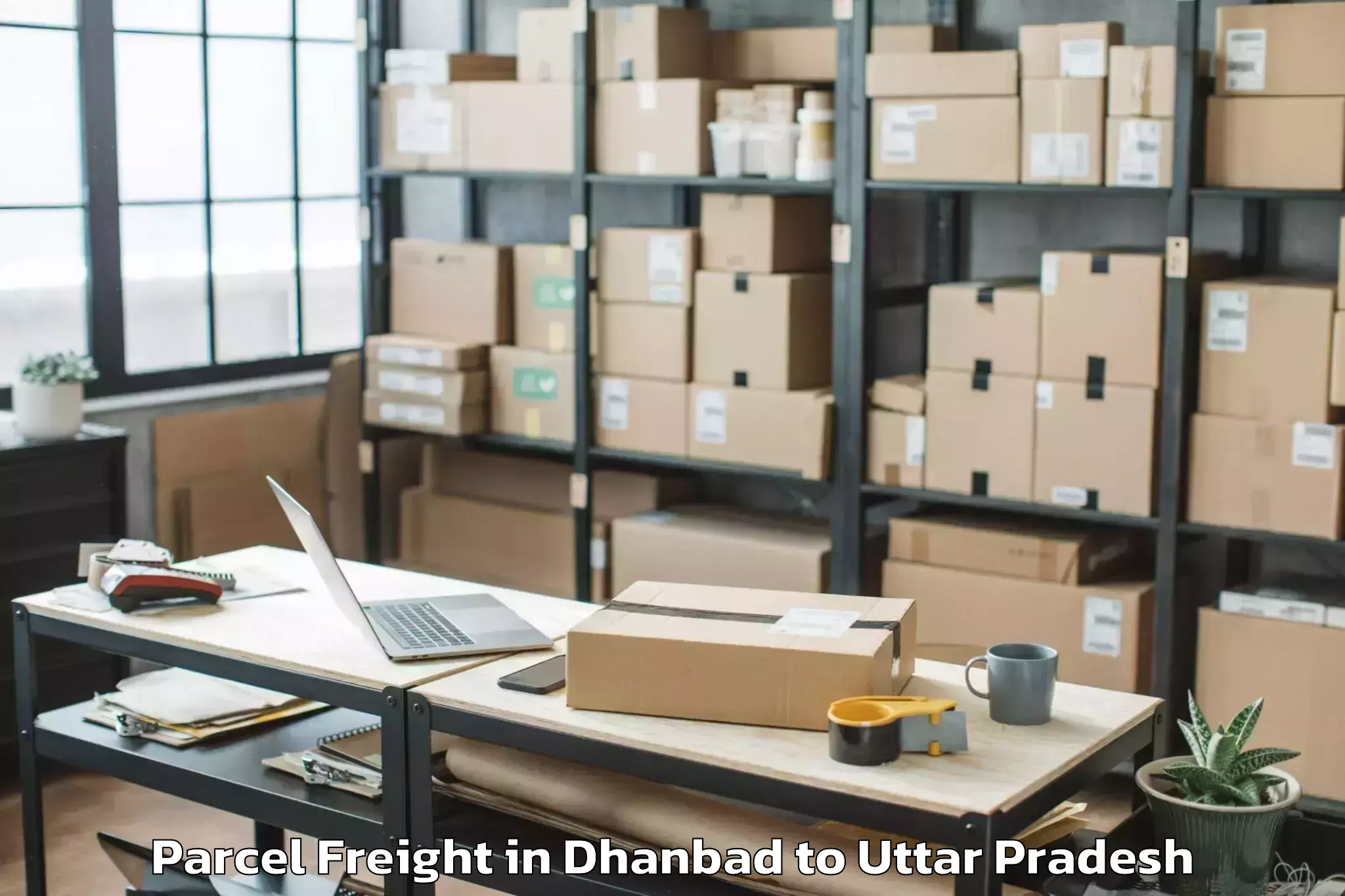 Book Dhanbad to Soraon Parcel Freight